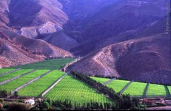 Valle del Elqui