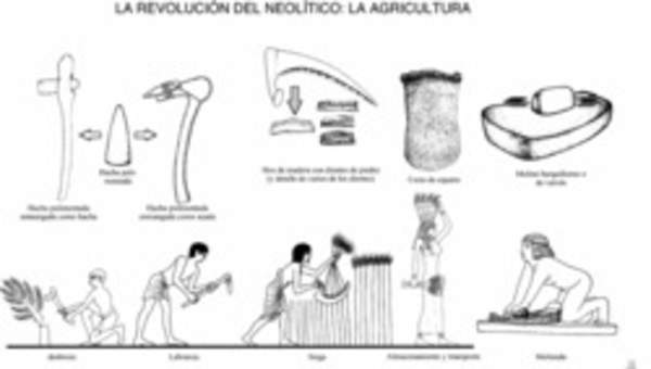 Agricultura Neolítico