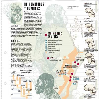 Homínidos