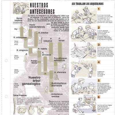 Trabajo de los arqueólogos