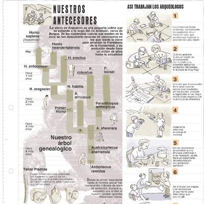 Trabajo de los arqueólogos