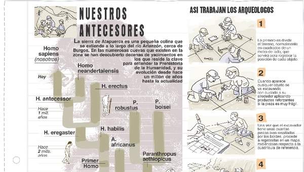 Trabajo de los arqueólogos