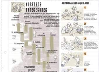 Trabajo de los arqueólogos