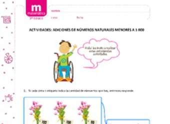 Adiciones de números naturales menores a 1000