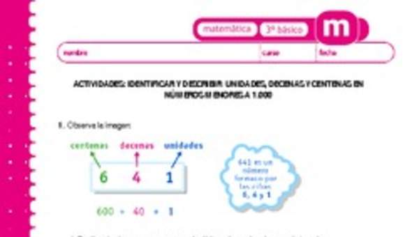 Identificar y describir unidades, decenas y centenas en números menores a 1000