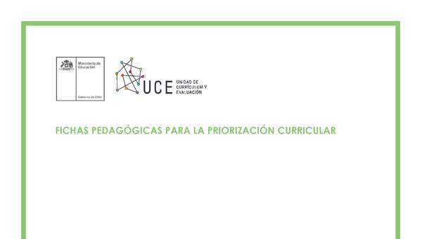 Ficha Pedagógica para la priorización curricular: Artes Visuales 4° medio MC
