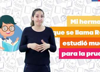 Uso de coma en frases explicativas/Lenguaje y Comunicación 6° básico