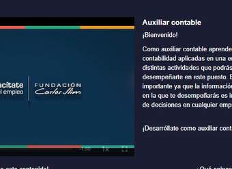 Auxiliar contable