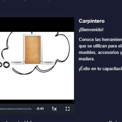 Curso: Carpintero