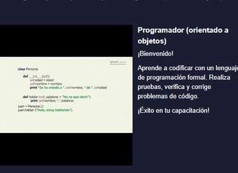 Curso: Programador (orientado a objetos)