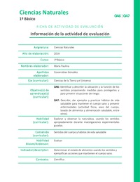 Alimentos en buen estado