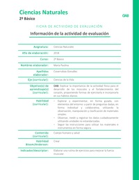 Beneficios de la actividad física