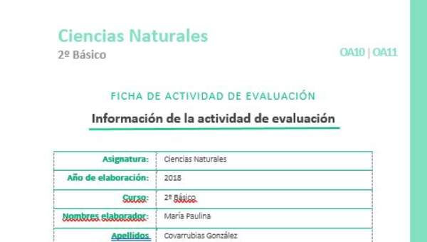 EVF-CN02-OA10-OA11