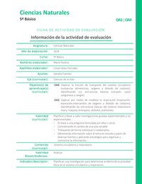 Órganos que necesitan actividad física