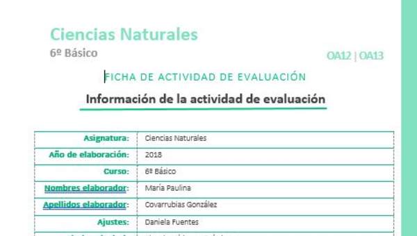 EVF-CN06-OA12-OA13