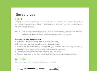 Ejemplo Evaluación Programas - OA01 - Los seres vivos - 2