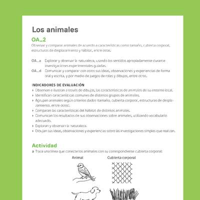 Ejemplo Evaluación Programas - OA02 - Los animales