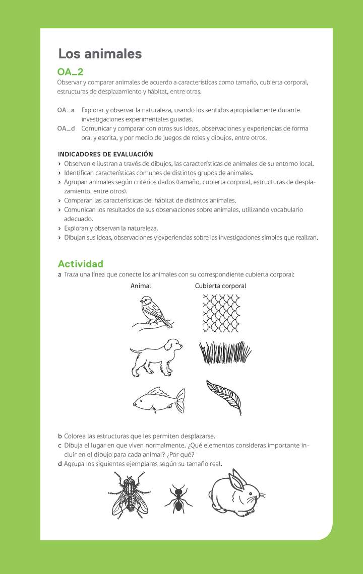 Ejemplo Evaluación Programas - OA02 - Los animales