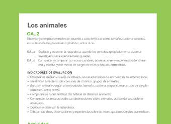 Ejemplo Evaluación Programas - OA02 - Los animales