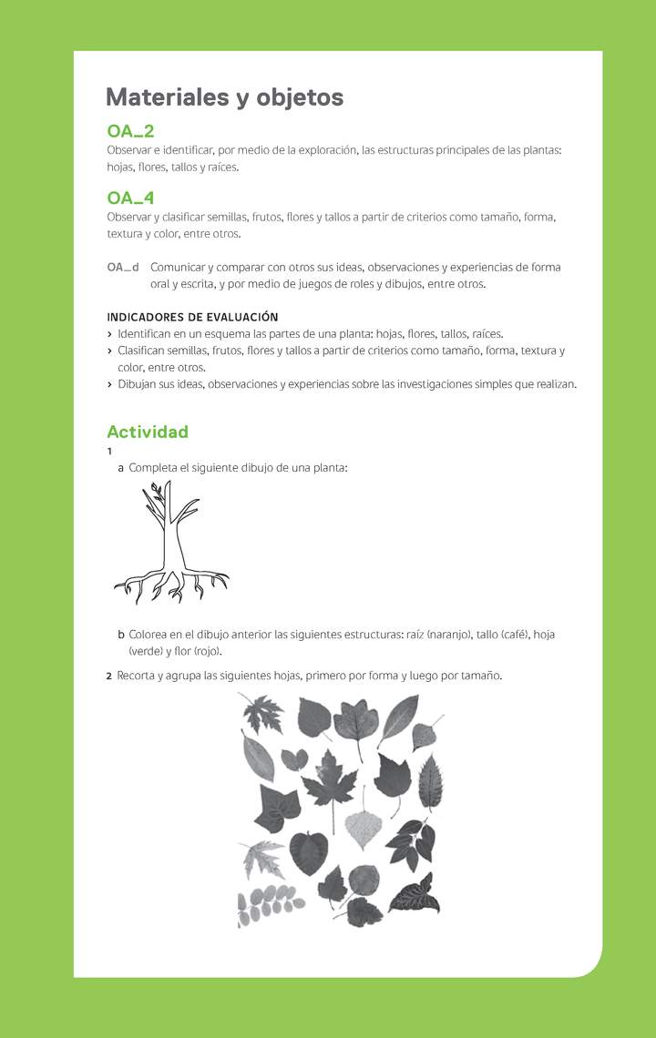 Ejemplo Evaluación Programas - OA02 - OA04 - Las plantas