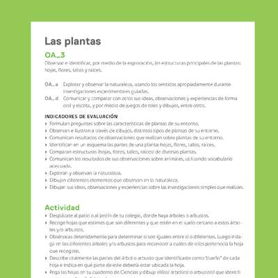 Ejemplo Evaluación Programas - OA03 - Las plantas