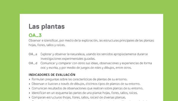 Ejemplo Evaluación Programas - OA03 - Las plantas