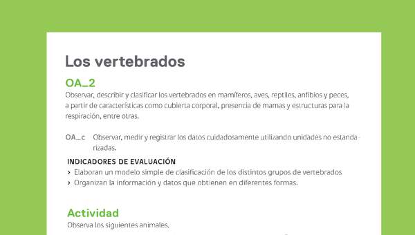 Ejemplo Evaluación Programas - OA02 - Los vertebrados