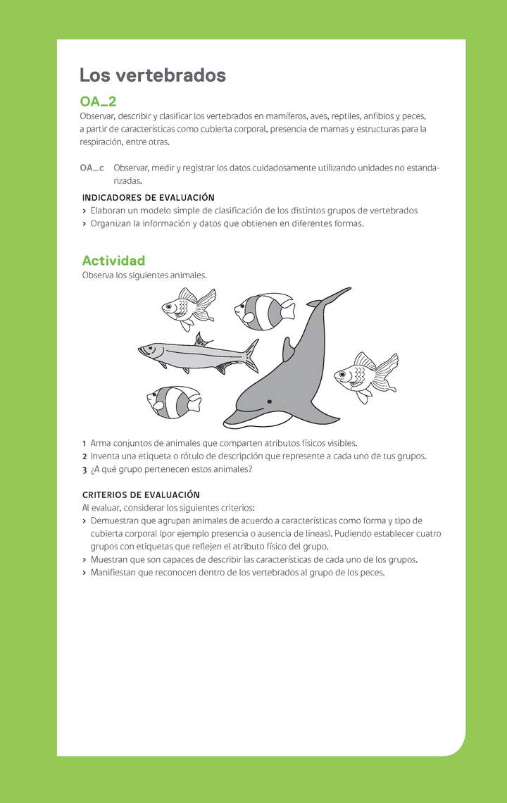Ejemplo Evaluación Programas - OA02 - Los vertebrados