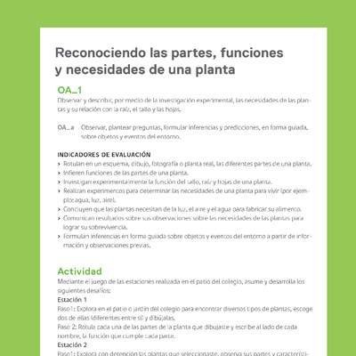 Ejemplo Evaluación Programas - OA01 - Reconociendo las partes, funciones y necesidades de una planta