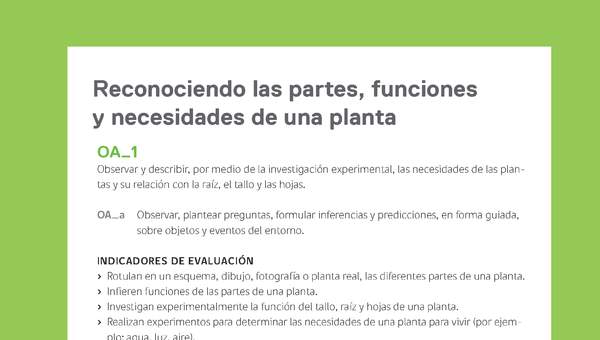 Ejemplo Evaluación Programas - OA01 - Reconociendo las partes, funciones y necesidades de una planta