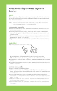 Ejemplo Evaluación Programas - OA02 - Aves y sus adaptaciones según su hábitat