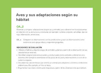 Ejemplo Evaluación Programas - OA02 - Aves y sus adaptaciones según su hábitat