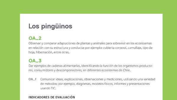 Ejemplo Evaluación Programas - OA02 - OA03 - Los pingüinos