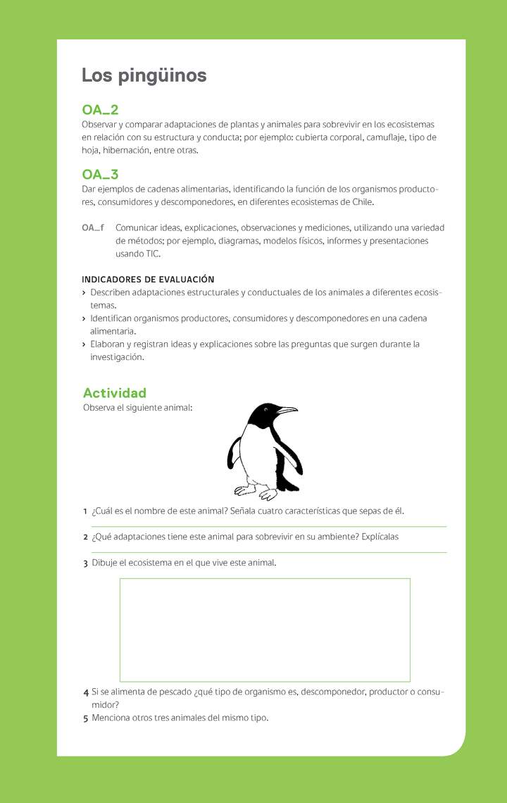 Ejemplo Evaluación Programas - OA02 - OA03 - Los pingüinos