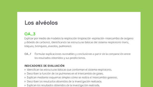 Ejemplo Evaluación Programas - OA03 - Los alvéolos