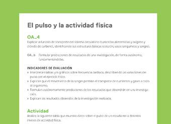 Ejemplo Evaluación Programas - OA04 - El pulso y la actividad física