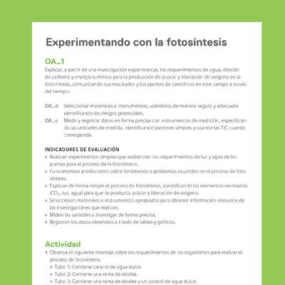 Ejemplo Evaluación Programas - OA01 - Experimentando con la fotosíntesis Ejemplo Evaluación Programas - OA01 - Experimentando con la fotosíntesis