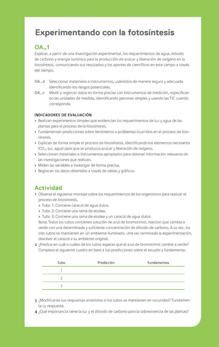 Ejemplo Evaluación Programas - OA01 - Experimentando con la fotosíntesis