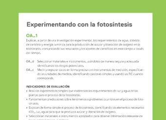 Ejemplo Evaluación Programas - OA01 - Experimentando con la fotosíntesis