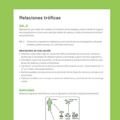 Ejemplo Evaluación Programas - OA02 - Relaciones tróficas