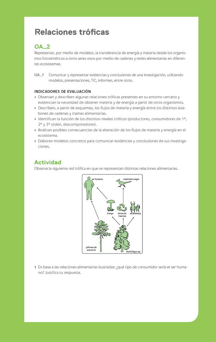 Ejemplo Evaluación Programas - OA02 - Relaciones tróficas