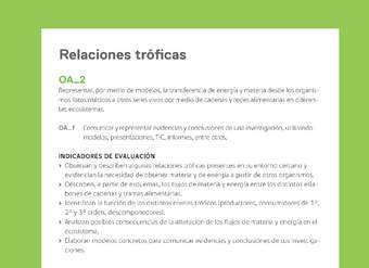 Ejemplo Evaluación Programas - OA02 - Relaciones tróficas