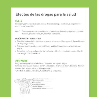 Ejemplo Evaluación Programas - OA07 - Efectos de las drogas para la salud