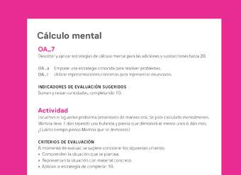 Ejemplo Evaluación Programas - OA07 - Cálculo mental