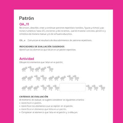 Ejemplo Evaluación Programas - OA11 - Patrón