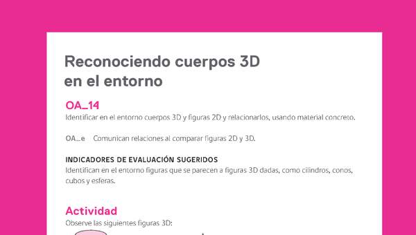 Ejemplo Evaluación Programas - OA14 - Reconociendo cuerpos 3D en el entorno