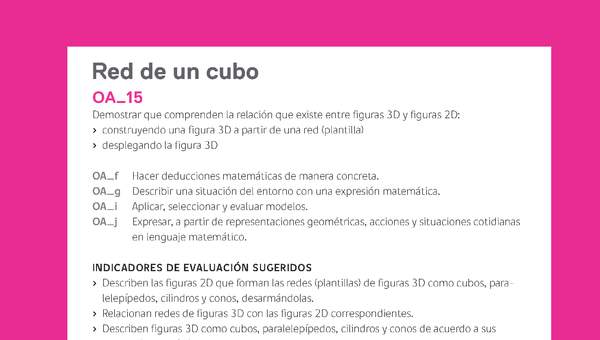 Evaluación Programas - MA03 OA15 - U2 - Red de un cubo