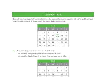 Evaluación Programas - CN07 OA02 - U4 - CICLO MENSTRUAL