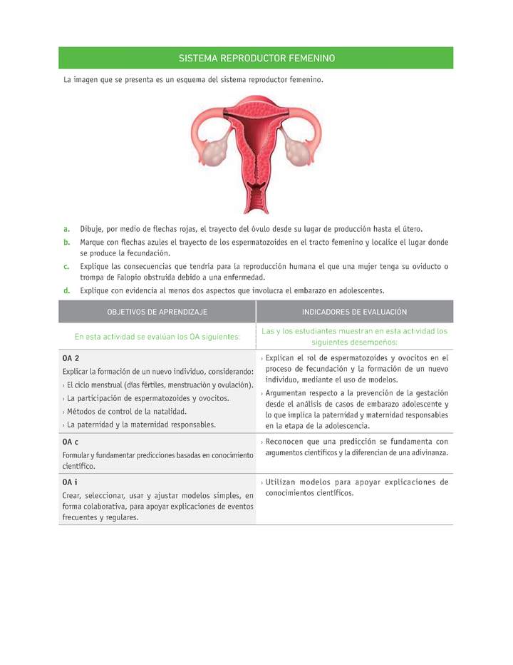 Evaluación Programas - CN07 OA02 - U4 - SISTEMA REPRODUCTOR FEMENINO