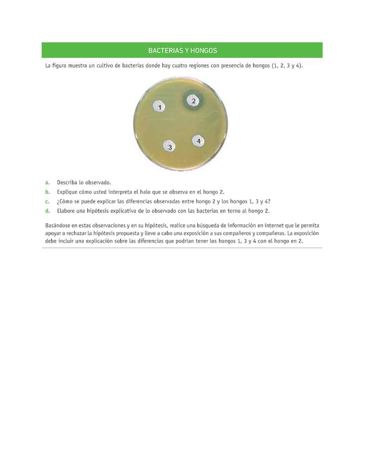 Evaluación Programas - CN07 OA06 - U3 - BACTERIAS Y HONGOS